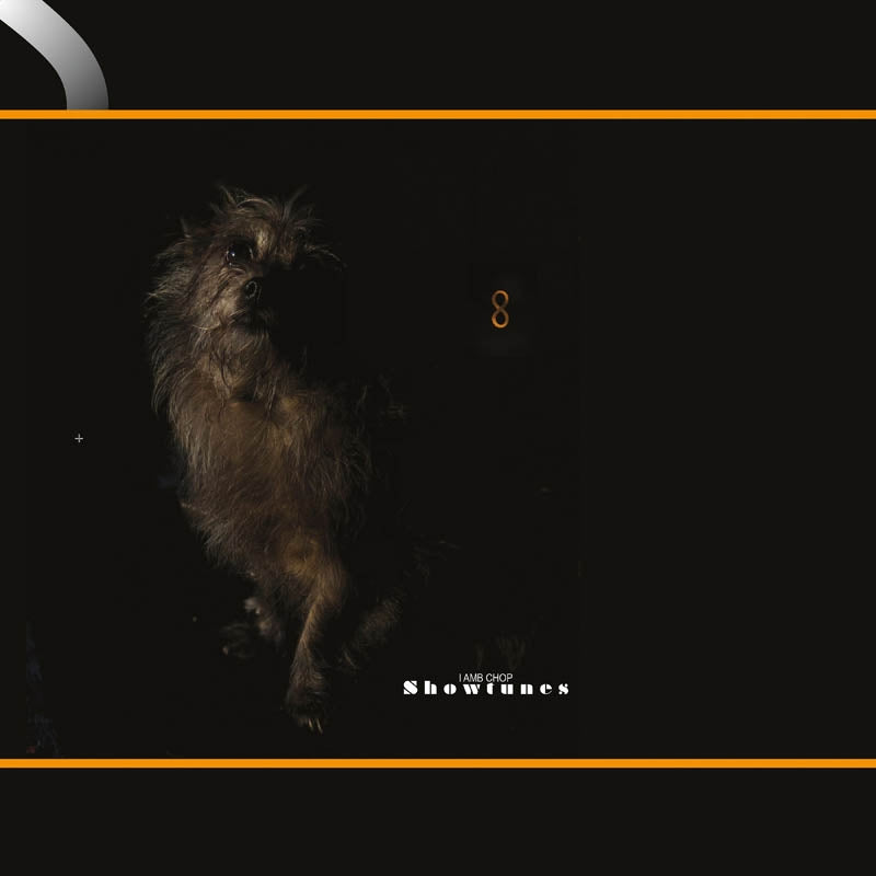  |   | Lambchop - Showtunes (LP) | Records on Vinyl