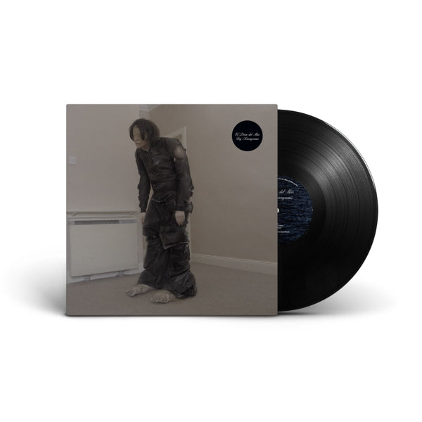  |  Vinyl LP | El Perro Del Mar - Big Anonymous (LP) | Records on Vinyl