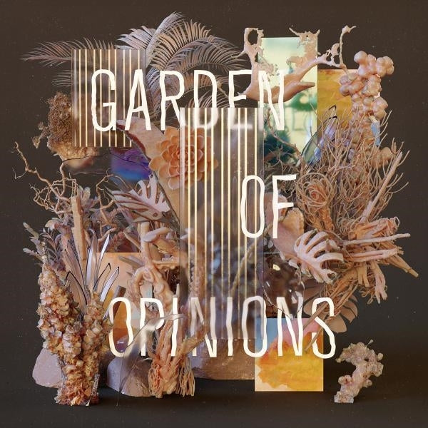  |  Vinyl LP | Footprint Project - Garden of Opinions (LP) | Records on Vinyl
