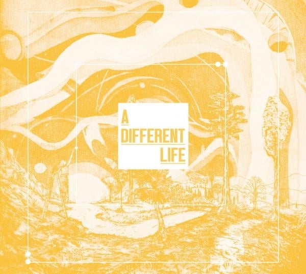  |  Vinyl LP | Catt - A Different Life (2 LPs) | Records on Vinyl