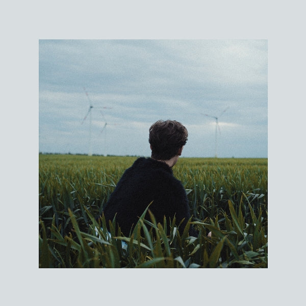  |  Vinyl LP | Hotel Rimini - Gefahrdete Arten (LP) | Records on Vinyl