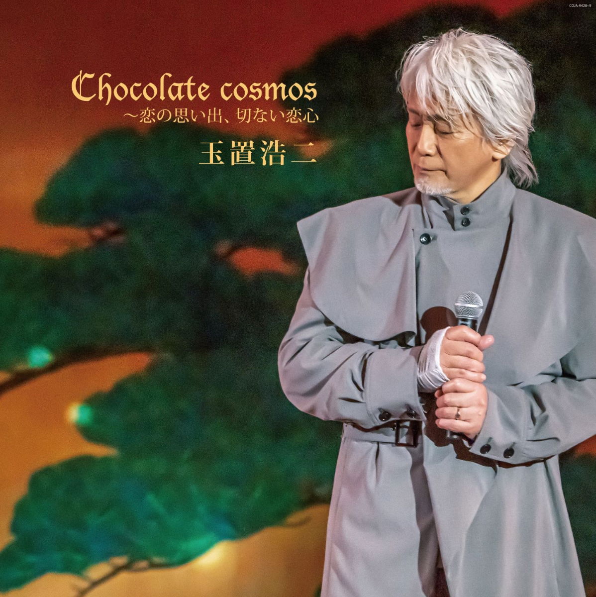 Koji Tamaki - Chocolate Cosmos (2 LPs) Cover Arts and Media | Records on Vinyl