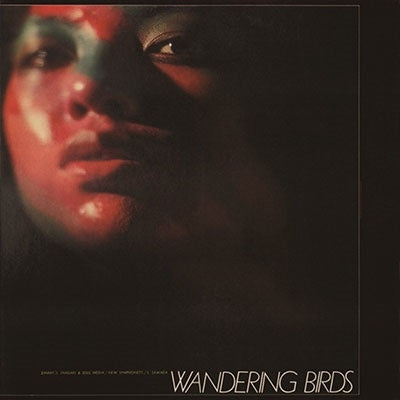 Jiro Inagaki & His Soul Media - Wandering Birds (LP) Cover Arts and Media | Records on Vinyl