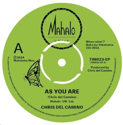Chris Del Camino - As You Are / Butterfly Monarch (Single) Cover Arts and Media | Records on Vinyl