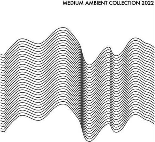 V/A - Medium Ambient Collection 2022 (2 LPs) Cover Arts and Media | Records on Vinyl
