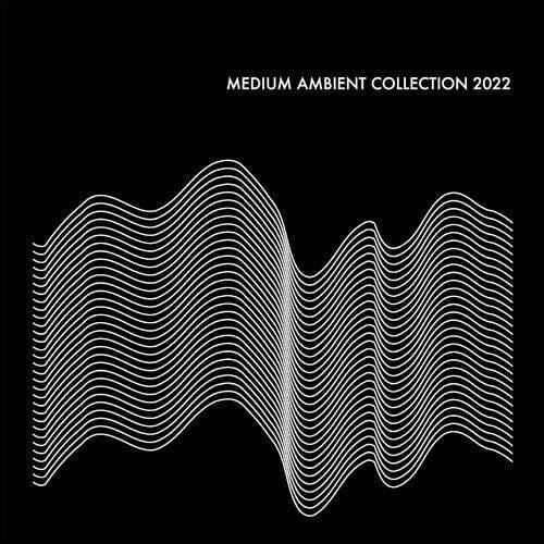 V/A - Medium Ambient Collection 2022 (2 LPs) Cover Arts and Media | Records on Vinyl
