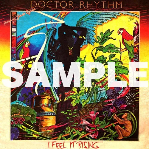 Doctor Rhythm - I Feel It Rising (LP) Cover Arts and Media | Records on Vinyl