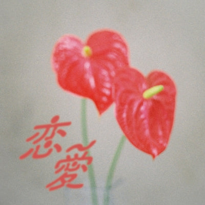 Yo Irie - Renai (LP) Cover Arts and Media | Records on Vinyl