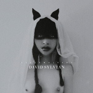 David Sylvian - Sleepwalkers (2 LPs) Cover Arts and Media | Records on Vinyl