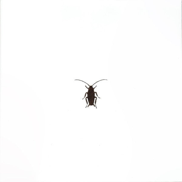  |   | Cosmic Rays - Hard To Destroy (LP) | Records on Vinyl