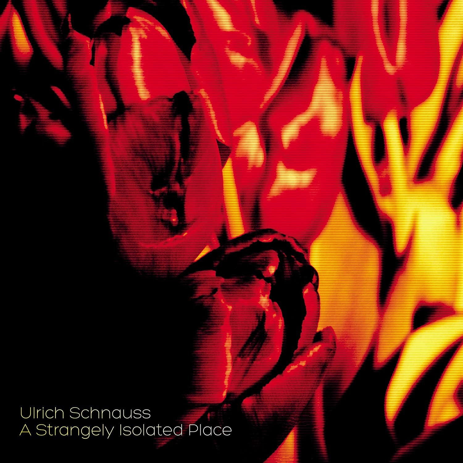 Ulrich -& Mark Peters- Schnauss - A Strangely Isolated Place (2 LPs) Cover Arts and Media | Records on Vinyl