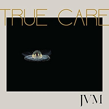  |   | James Vincent McMorrow - True Care (2 LPs) | Records on Vinyl