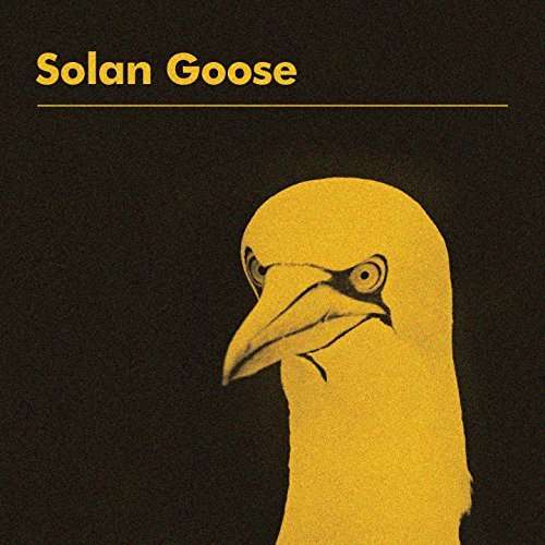  |   | Erland Cooper - Solan Goose (LP) | Records on Vinyl