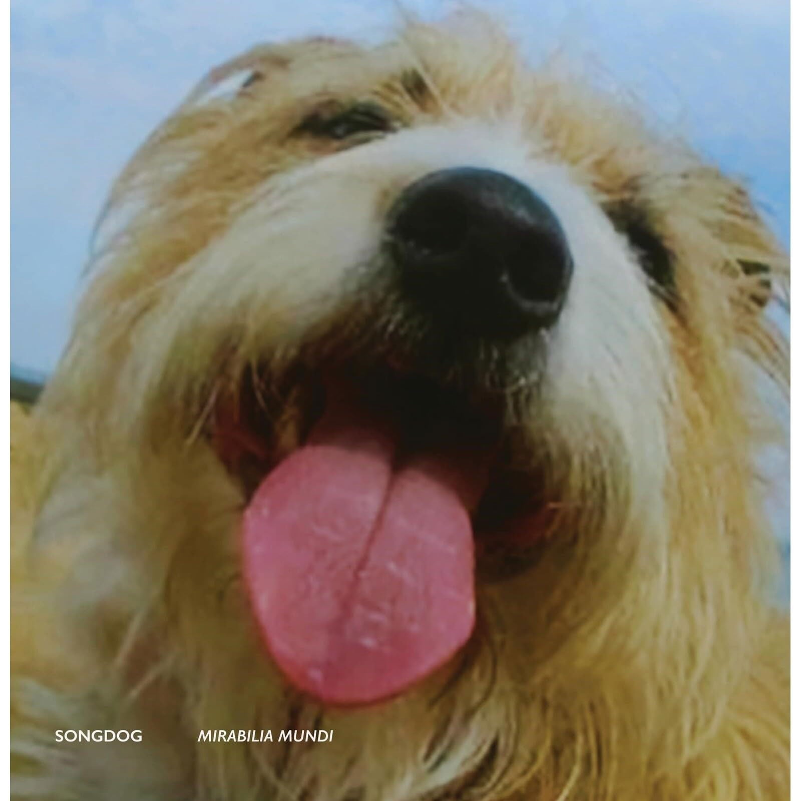 Songdog - Mirabilia Mundi (LP) Cover Arts and Media | Records on Vinyl