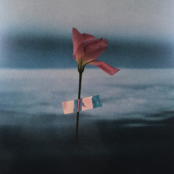  |   | Will Samson - Paralanguage (LP) | Records on Vinyl