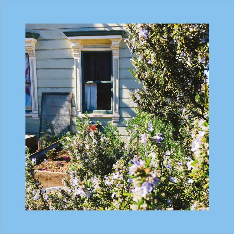  |   | Pinks and Purples Reds - Anxiety Art (LP) | Records on Vinyl