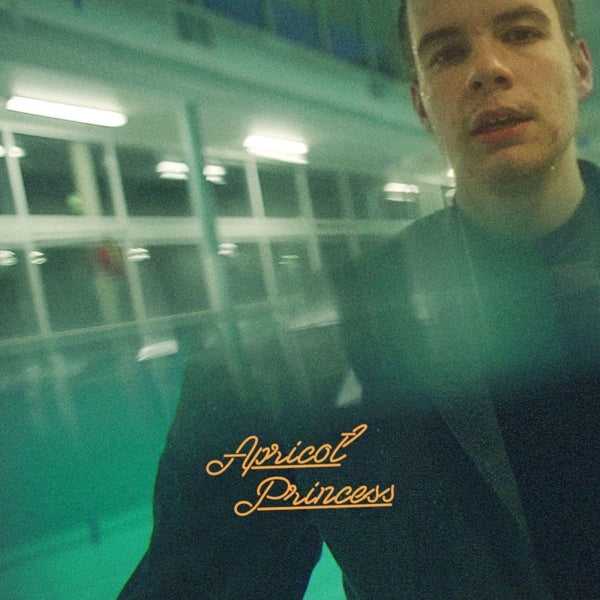  |  Vinyl LP | Rex Orange County - Apricot Princess (LP) | Records on Vinyl