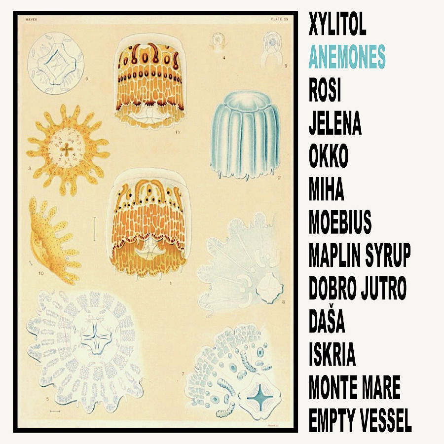  |  Vinyl LP | Xylitol - Anemones (LP) | Records on Vinyl