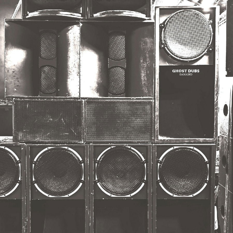  |   | Ghost Dubs - Damaged (2 LPs) | Records on Vinyl