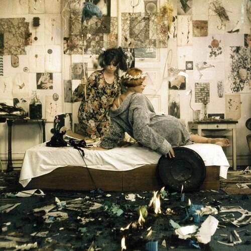 Various - Daisies (LP) Cover Arts and Media | Records on Vinyl