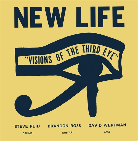  |  Vinyl LP | New Life Trio - Visions of the Third Eye (LP) | Records on Vinyl