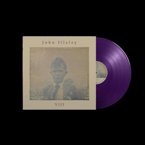 John Illsley - Viii (LP) Cover Arts and Media | Records on Vinyl