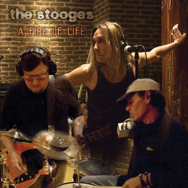  |   | the Stooges - A Fire of Life (2 LPs) | Records on Vinyl