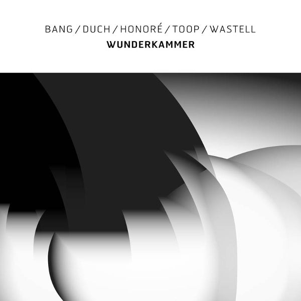  |  Vinyl LP | Duch Bang - Wunderkammer (LP) | Records on Vinyl