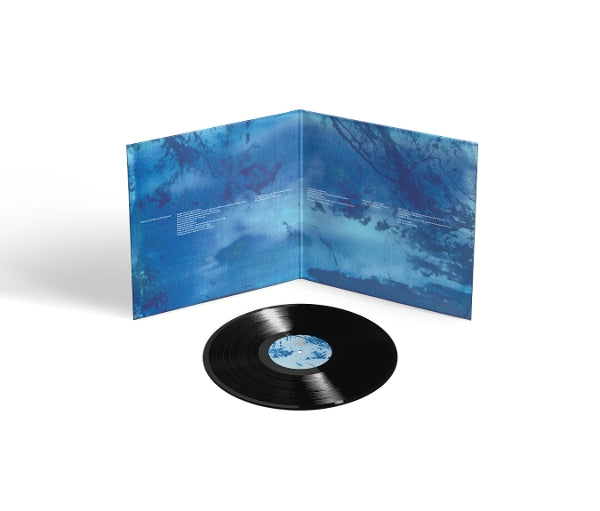  |  Vinyl LP | Ed O'Brien - Blue Morpho (LP) | Records on Vinyl