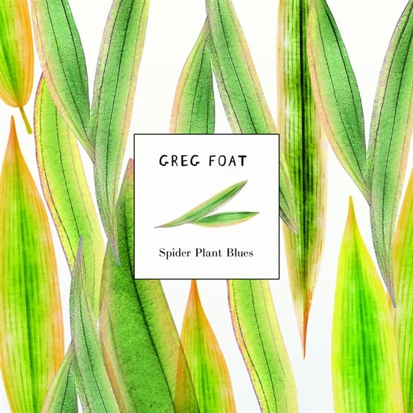  |  7" Single | Greg Foat - Spider Plant Blues (Single) | Records on Vinyl
