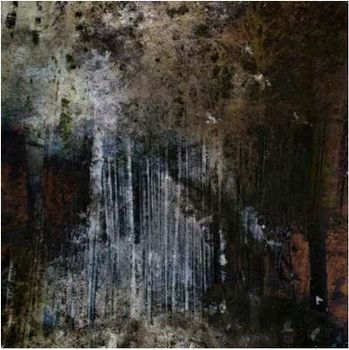 Joachim Spieth - Terrain (LP) Cover Arts and Media | Records on Vinyl