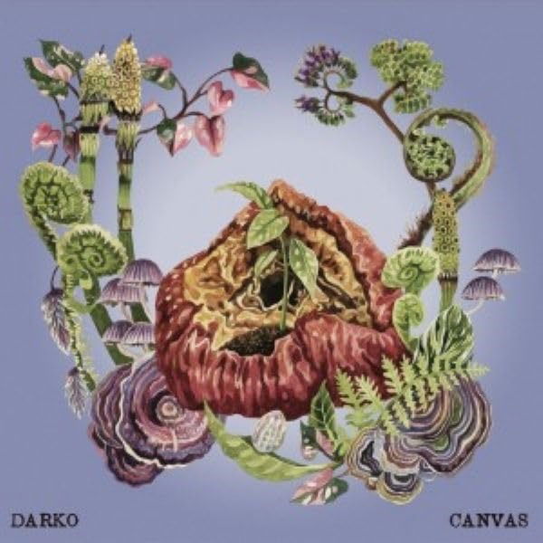 Darko - Canvas (Single) Cover Arts and Media | Records on Vinyl