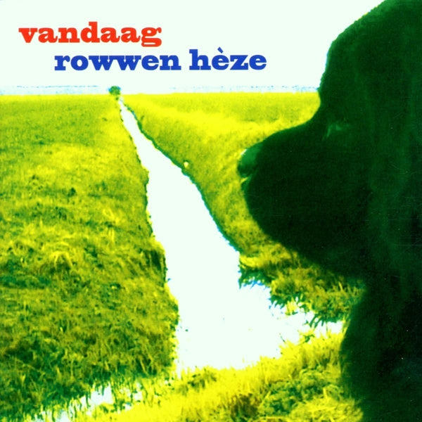  |   | Rowwen Heze - Vandaag (2 LPs) | Records on Vinyl