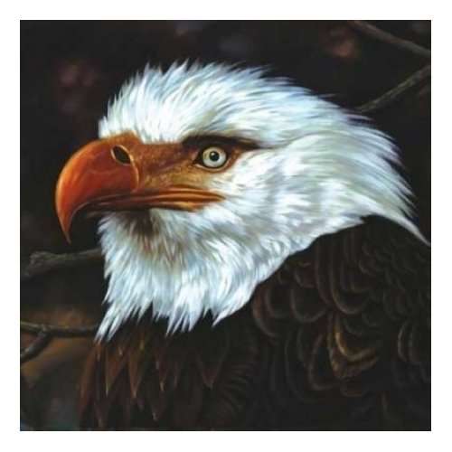  |   | Mogwai - Hawk is Howling (2 LPs) | Records on Vinyl