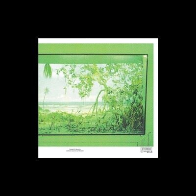 Nikolaienko - Nostalgia Por Mesozo Ica (LP) Cover Arts and Media | Records on Vinyl