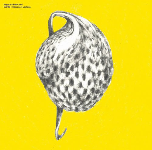 Maris - Anger's Family Tree (LP) Cover Arts and Media | Records on Vinyl