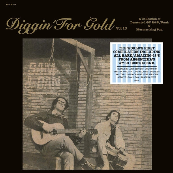  |  Vinyl LP | V/A - Diggin' For Gold Vol.13 (LP) | Records on Vinyl