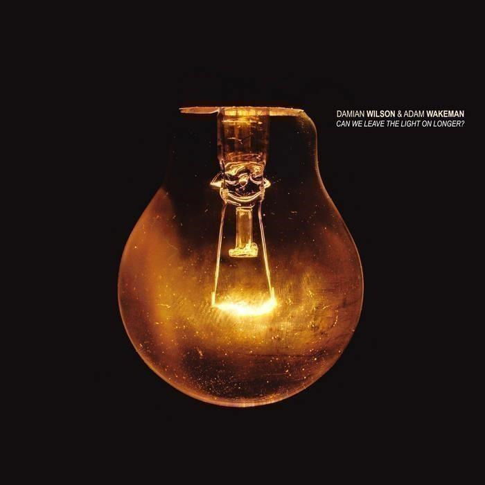 Damian & Adam Wakeman Wilson - Can We Leave the Light On Longer? (LP) Cover Arts and Media | Records on Vinyl