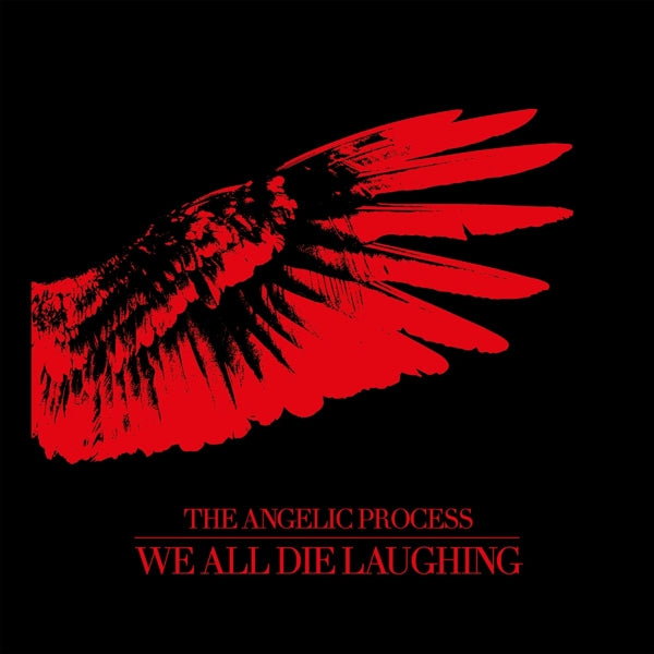  |  Vinyl LP | Angelic Process - We All Die Laughing (6 LPs) | Records on Vinyl