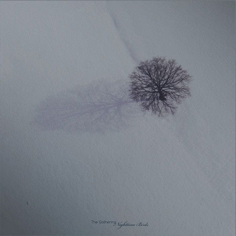 Gathering - Nighttime Birds (LP) Cover Arts and Media | Records on Vinyl