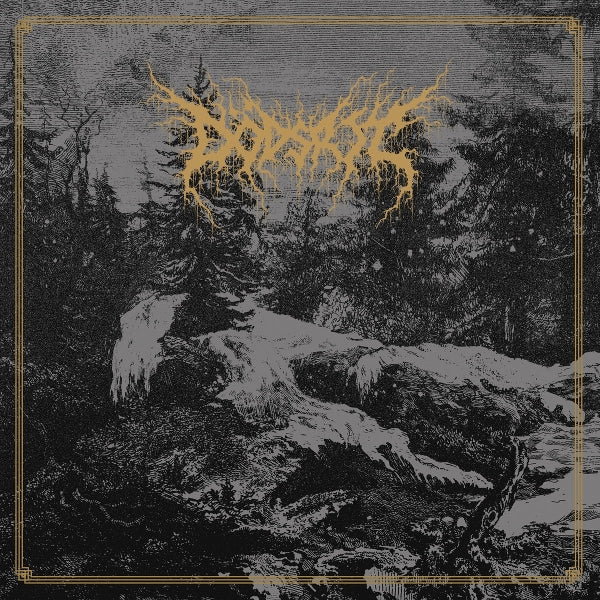  |  Vinyl LP | Dodsrit - Mortal Coil (LP) | Records on Vinyl