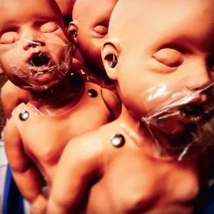 Tangled Horns - Lighter (LP) Cover Arts and Media | Records on Vinyl