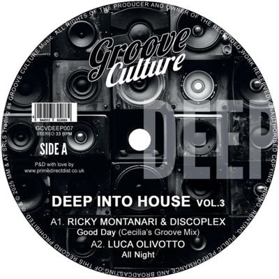 Ricky & Discoplex & Gianni Bini & Luca Olivotto Montanari - Deep Into House Vol. 3 (Single) Cover Arts and Media | Records on Vinyl