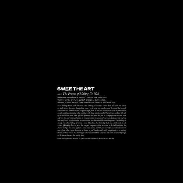  |  12" Single | Sweetheart - The Process of Making Us Well (Single) | Records on Vinyl