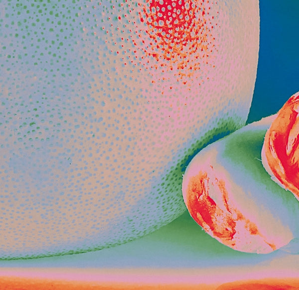  |   | Citrus Citrus - Albedo Massima (LP) | Records on Vinyl