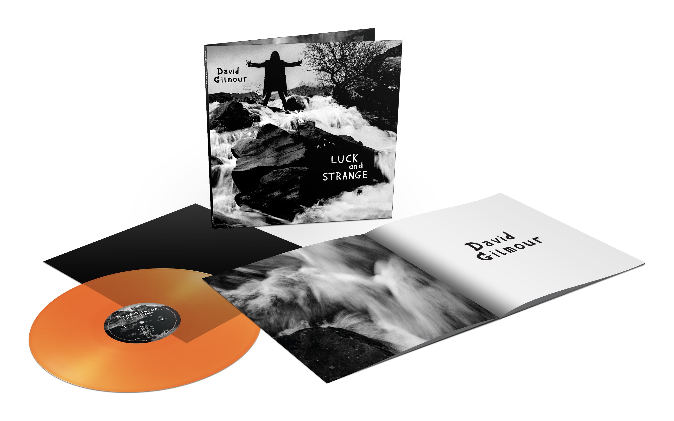  |  Vinyl LP | David Gilmour - Luck and Strange (LP) | Records on Vinyl