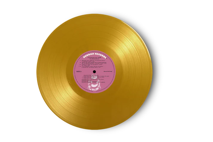 Modulations - It's Rough Out Here (LP)