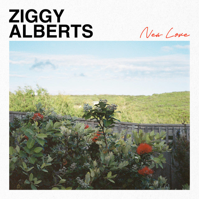  |  vinyl lp | Ziggy Alberts - New Love (LP) | Records on Vinyl