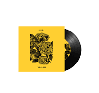  |  7'' single | H.E.R. & Foo Fighters - The Glass (Single) | Records on Vinyl