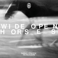  |  Vinyl LP | James Vincent McMorrow - Wide Open, Horses (2 LPs) | Records on Vinyl